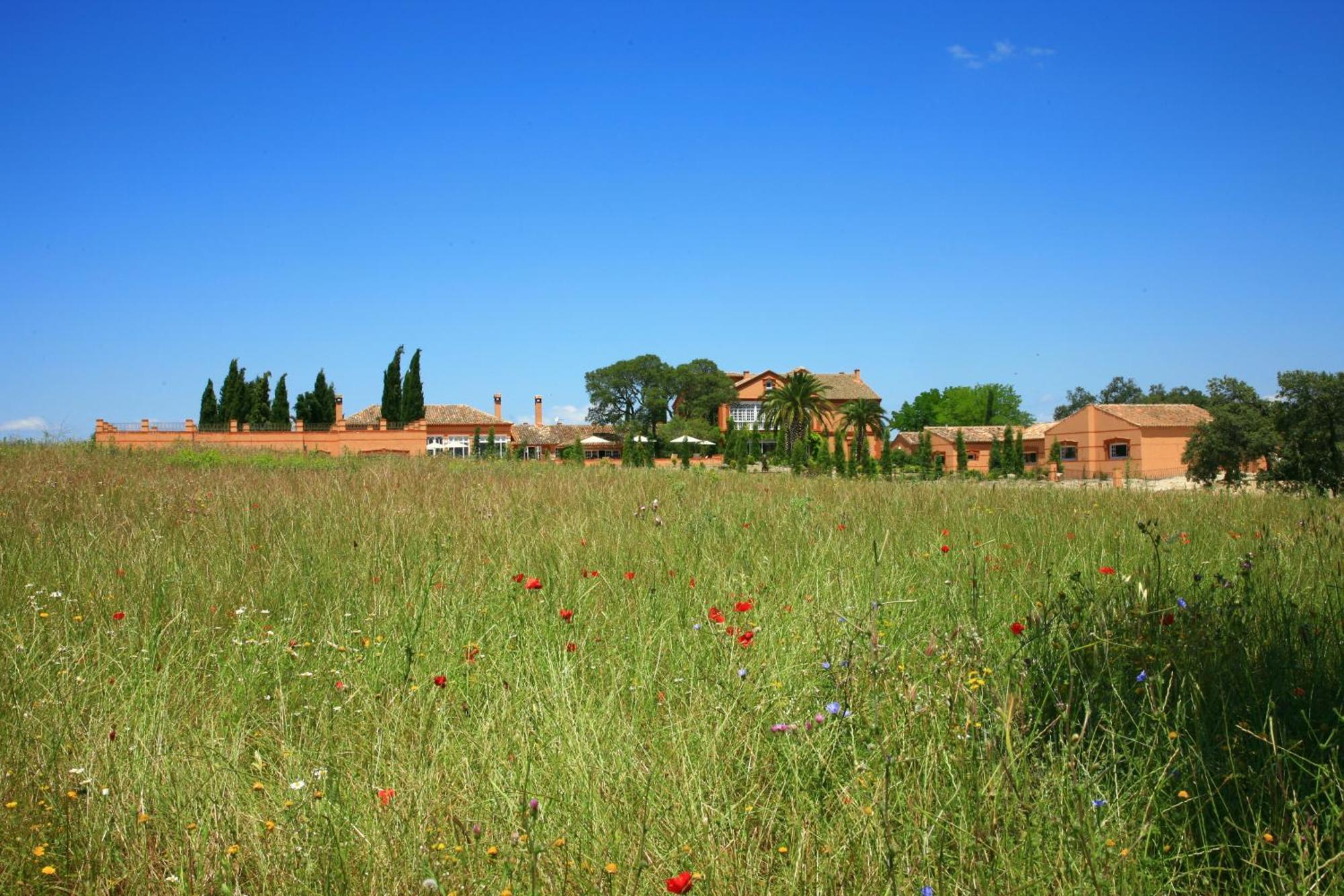Hotel Valdepalacios Gourmand 5* Gl Torrico Kültér fotó